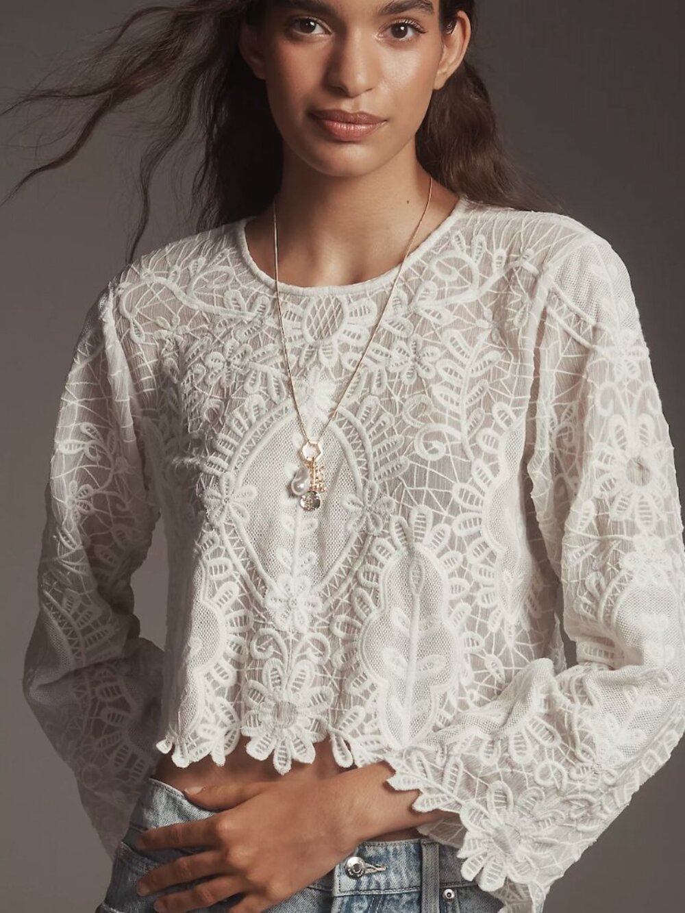By Anthropologie Maeve Sheer Eyelet Long Sleeve Top Large NWOT - Picture 2 of 7